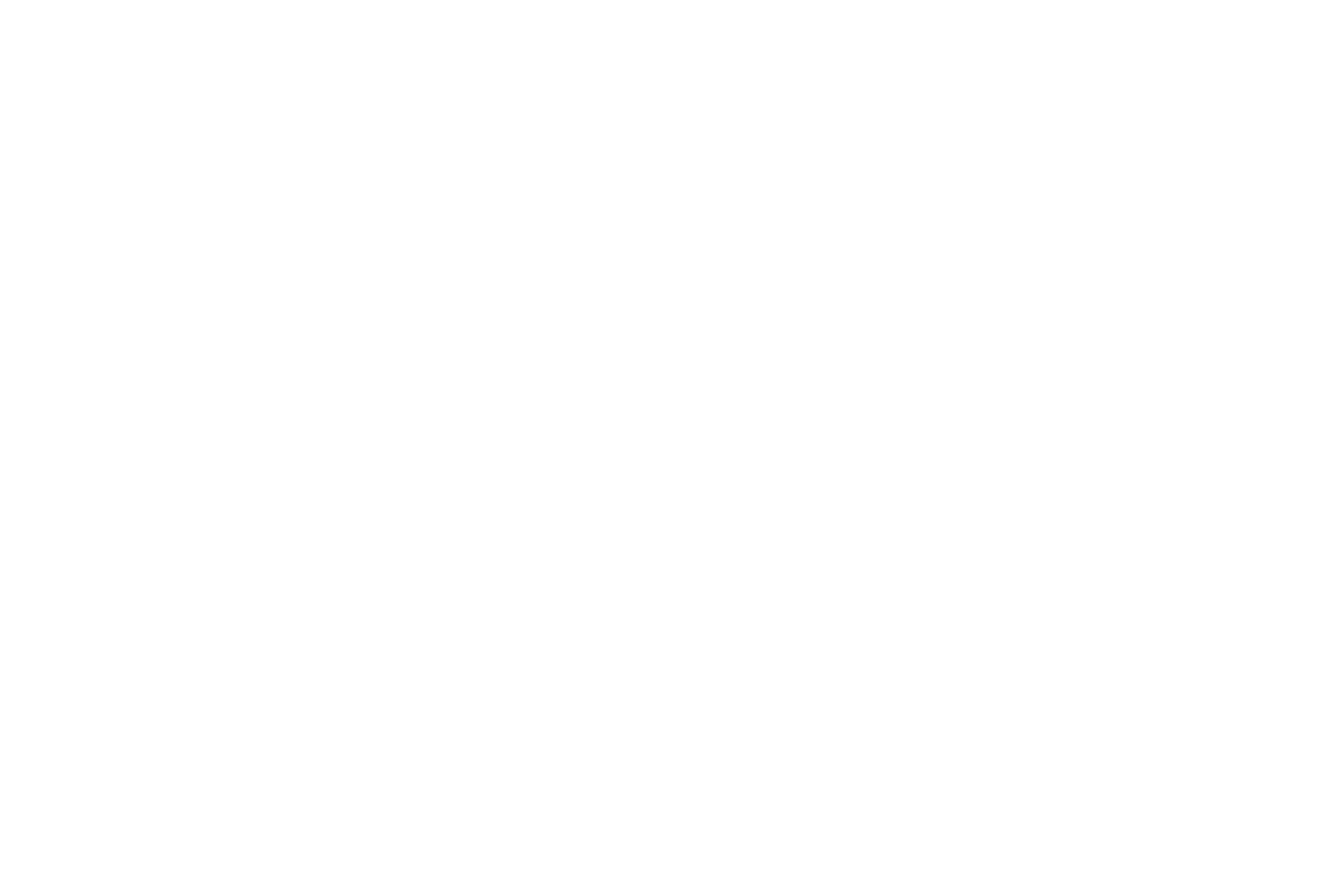 Logo Twan Aarts Photography
